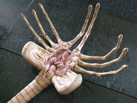 Facehugger Wallpaper and Background Image | 1600x1200 | ID:525740