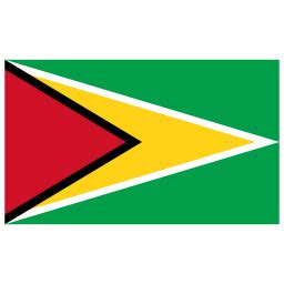 GY Guyana Flag Icon | Public Domain World Flags Iconpack | Wikipedia ...