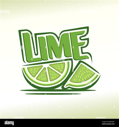 Vector illustration on theme of logo for abstract fresh Lime, still life composition, consisting ...