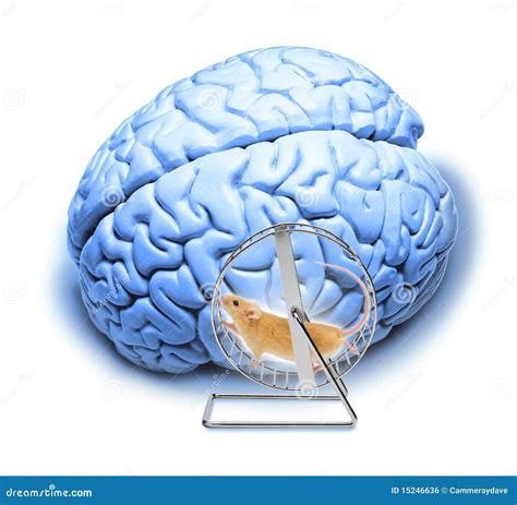 Brain Hamster Wheel Stock Photos - Free & Royalty-Free Stock Photos ...