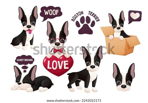 Set Cute Boston Terrier Stickers Cool Stock Vector (Royalty Free ...