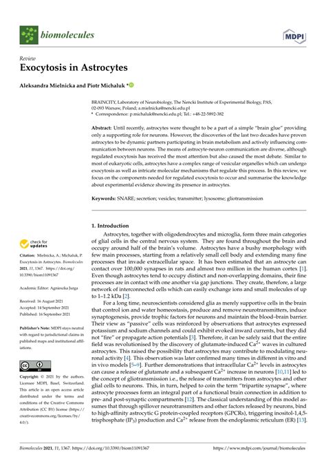 (PDF) Exocytosis in Astrocytes