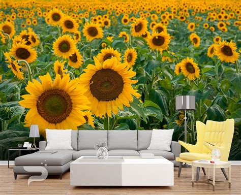 Sunflower WALL MURAL, Sunflower Field Wallpaper Mural, Large Wall Mural ...