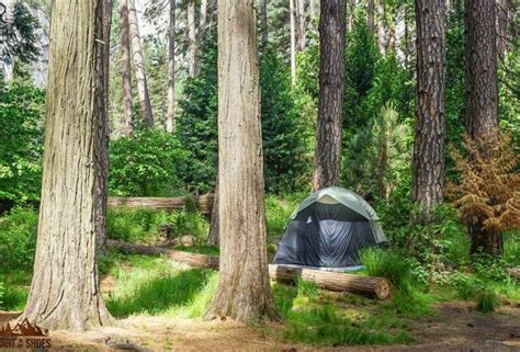 All About Camping in Yosemite National Park