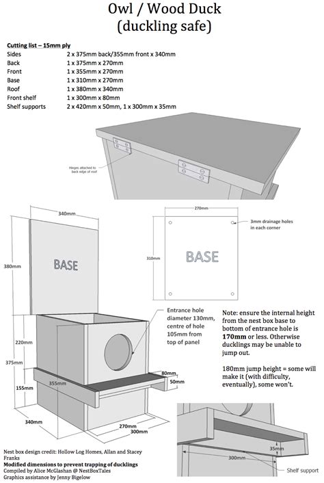 Boobook Owl – Nest Box Tales