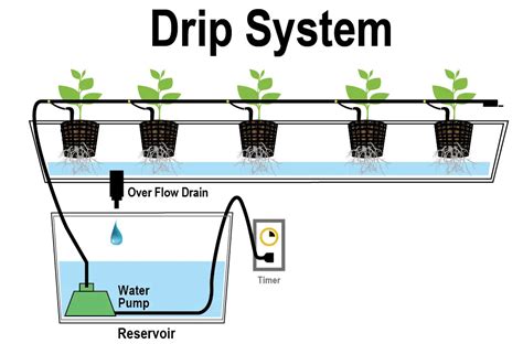 Drip Irrigation Hydroponics System Guide (Design, DIY Setup & Watering ...