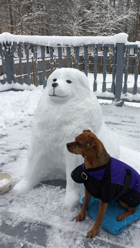 Dog snow sculpture by Dawn Gould with her dog Buddy. Great Pyrenees ...