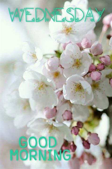 Good Morning Wednesday Flowers Images And Messages