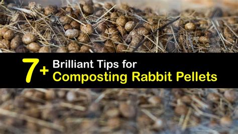 Composting Rabbit Poop - DIY Rabbit Fertilizer