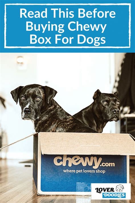 Read This Before Buying Chewy Box For Dogs in 2021 | Dog subscription ...