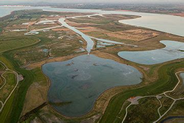 Visiting Steart Marshes | WWT