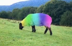 How to make a Rainbow Sheep 1.7.4 Minecraft Blog