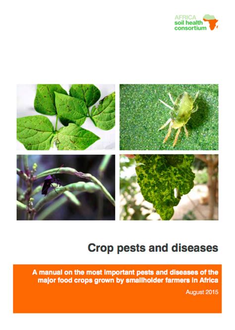 Crop pests and diseases | CCARDESA