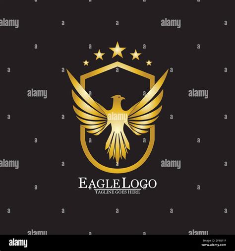 Golden Eagle with Shield logo design Stock Vector Image & Art - Alamy