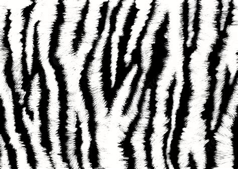 Abstract Texture Tiger Stripe Black And White Background, Stripe, Tiger Stripe, Black And White ...