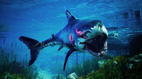 Maneater review: The best shark game... ever? - Polygon