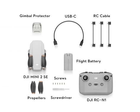 A Beginner's Guide to DJI Mini 2 SE | DJI FORUM