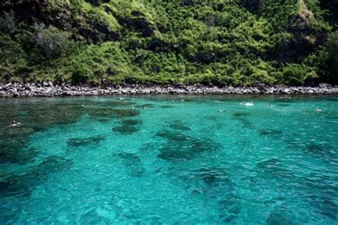 Honolua Bay: One of Maui's Best Snorkeling and Surfing Spots - Let's Go To Maui