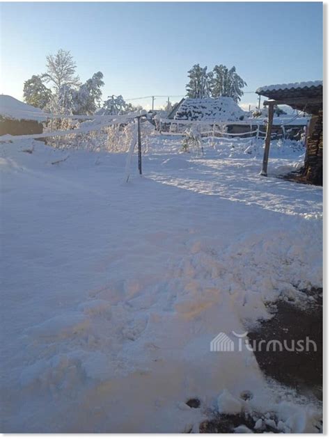 Up to 6 inches of early snow hits Kyrgyzstan -- Earth Changes -- Sott.net