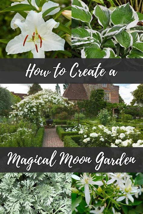 How to Create a Magical Moon Garden in 2021 | Garden plants design ...