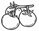 Tomatoes For Kids coloring page  Download Print Or Color Online Free sketch template
