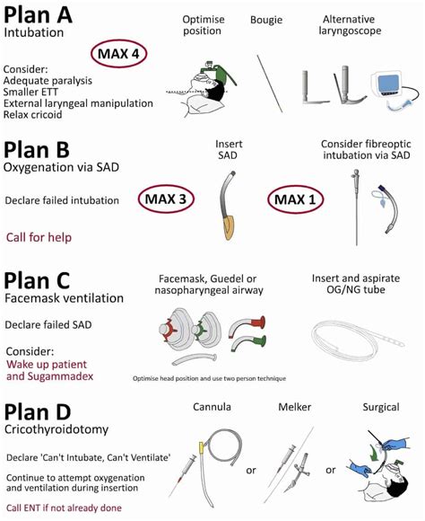 Neonatal Intubation Checklist Clipart