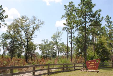 Florida state forests reopen most trailheads, campgrounds with limited capacity