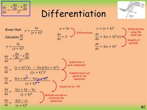 PPT - Differentiation PowerPoint Presentation, free download - ID:5833254