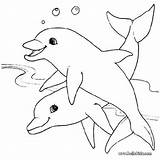 Dolphin Tale Winter Coloring Pages sketch template