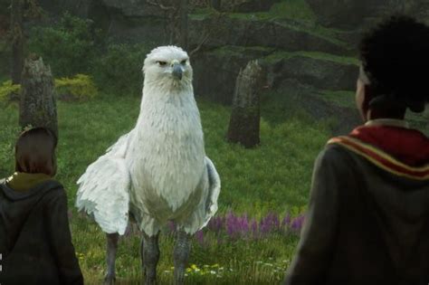 Exclusive clip from 'Hogwarts Legacy' recalls Harry's first meeting with Buckbeak the hippogriff ...