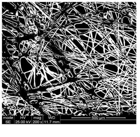 Lithium ion battery diaphragm with special structure and preparation method thereof - Eureka ...