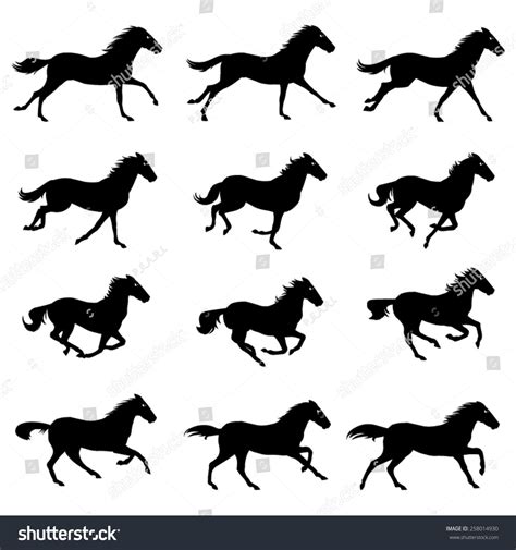 Horse Run Cycle | Horse silhouette, Horse running drawing, Running horses