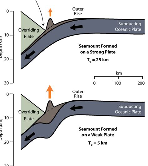 Ocean Floor Diagram Seamount | Review Home Co