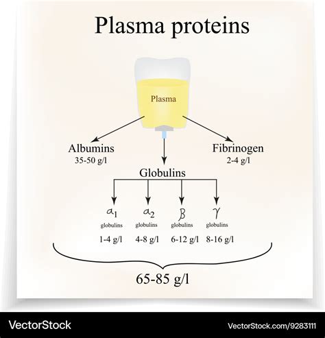 Total Protein Albumin Globulin Clinical Chemistry, 48% OFF