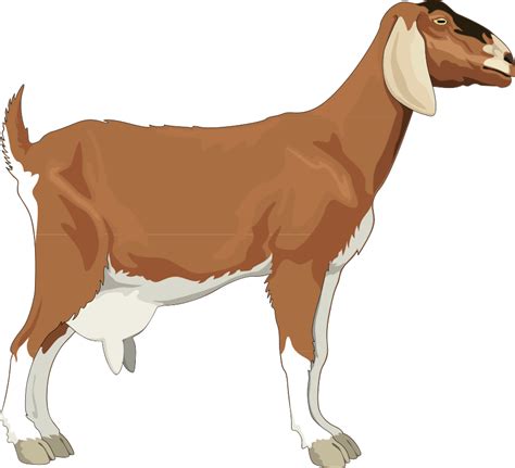 Free Goat Cliparts, Download Free Goat Cliparts png images, Free ClipArts on Clipart Library