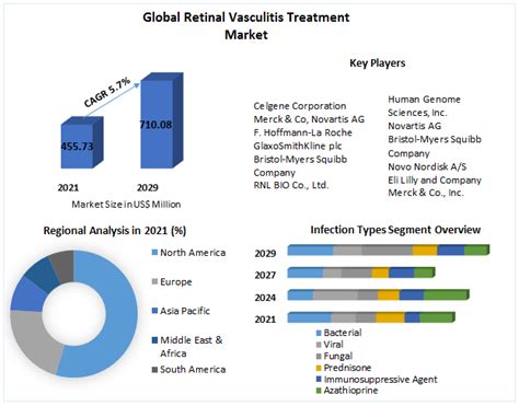 Retinal Vasculitis Treatment Market - End-User and Forecast (2022-2029)