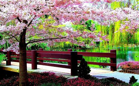 Most Beautiful Spring Wallpapers - Top Free Most Beautiful Spring Backgrounds - WallpaperAccess