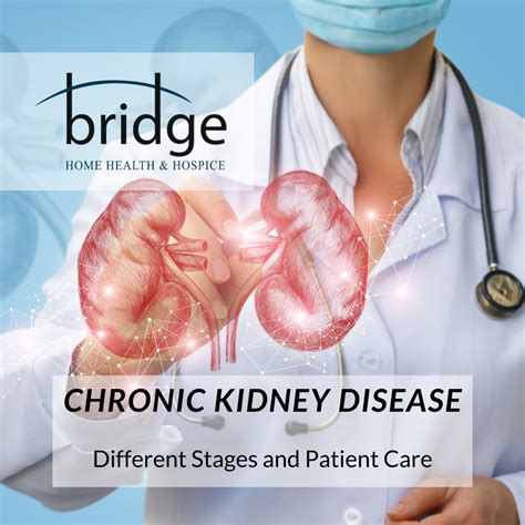 Chronic Kidney Disease, Different Stages and Patient Care - Bridge Home Health & Hospice