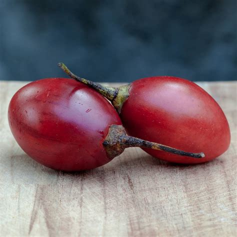 Tamarillo- Red, 20 seeds | TSC: Heirloom & OP seeds, non-GMO, Untreated ...