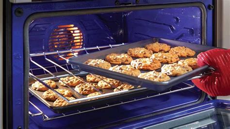 Convection Oven Cooking Tips | Convection oven cooking, Convection oven ...