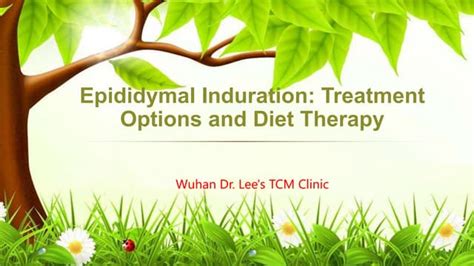 Epididymal Induration- Treatment Options and Diet Therapy.pptx