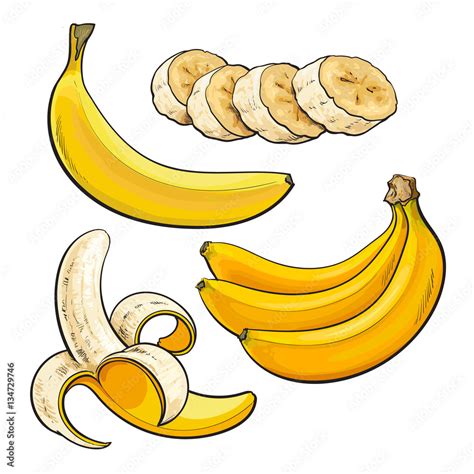 Sliced, peeled, singl and bunch of three ripe banana, sketch style ...