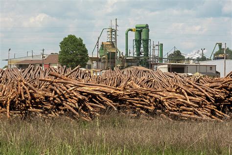 Logging Industry Photograph by Jim West/science Photo Library - Fine ...