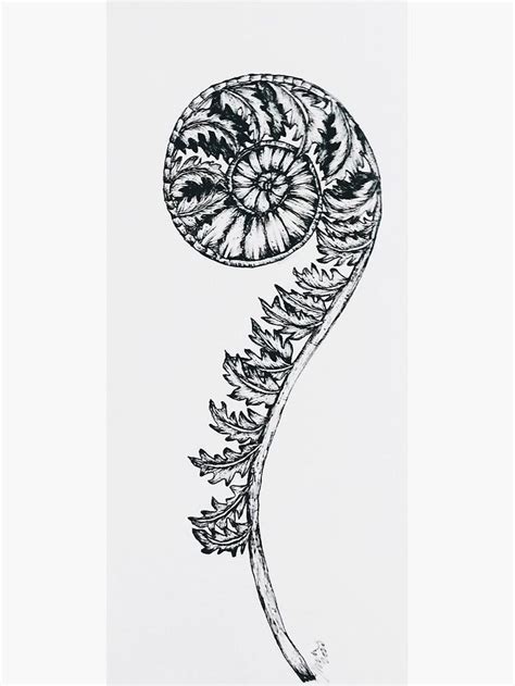 "Fiddlehead Fern" Poster for Sale by rebekahwilcken in 2024 | Russian ...