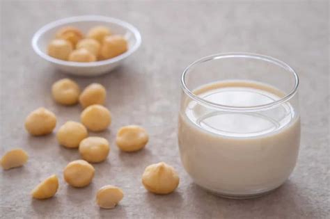 Macadamia Milk: Benefits And How To Make It At Home