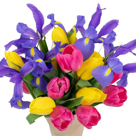 Mother's Day gifts: Fresh cut flowers available on Amazon