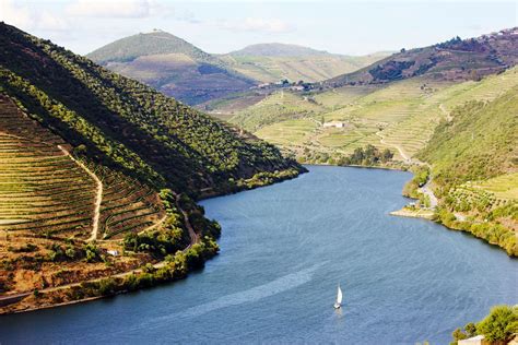 Douro Valley, Portugal | 7 Best Wine Travel Experiences of 2020 | 7 ...