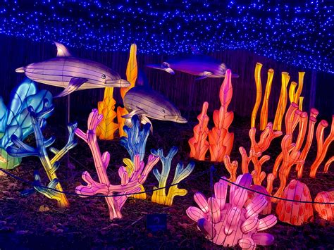 Bronx Zoo Holiday Lights 2023 in New York City (NYC) - Rove.me