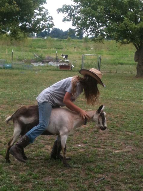 Goat riding | Animals, Riding, Cute animals