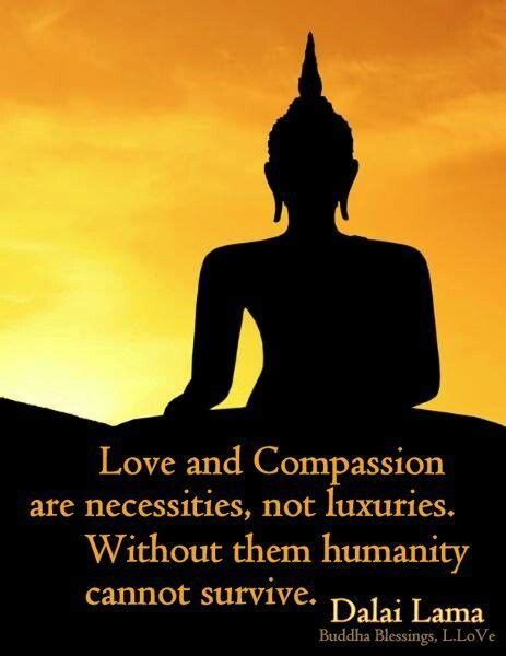 Buddha Compassion Quotes - ShortQuotes.cc